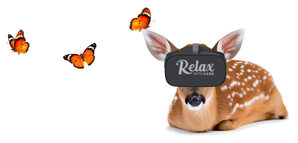 deer and butterflies vr